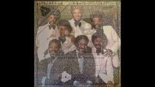 The Pazant Bros   Work song