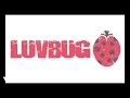 LuvBug - Revive (Say Something) Behind The ...