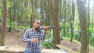 Download lagu Mawar Berduri (Mus Mulyadi) mp3