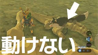 カラカラコヨーテは抜け出せない【ゼルダの伝説 ブレスオブザワイルド】