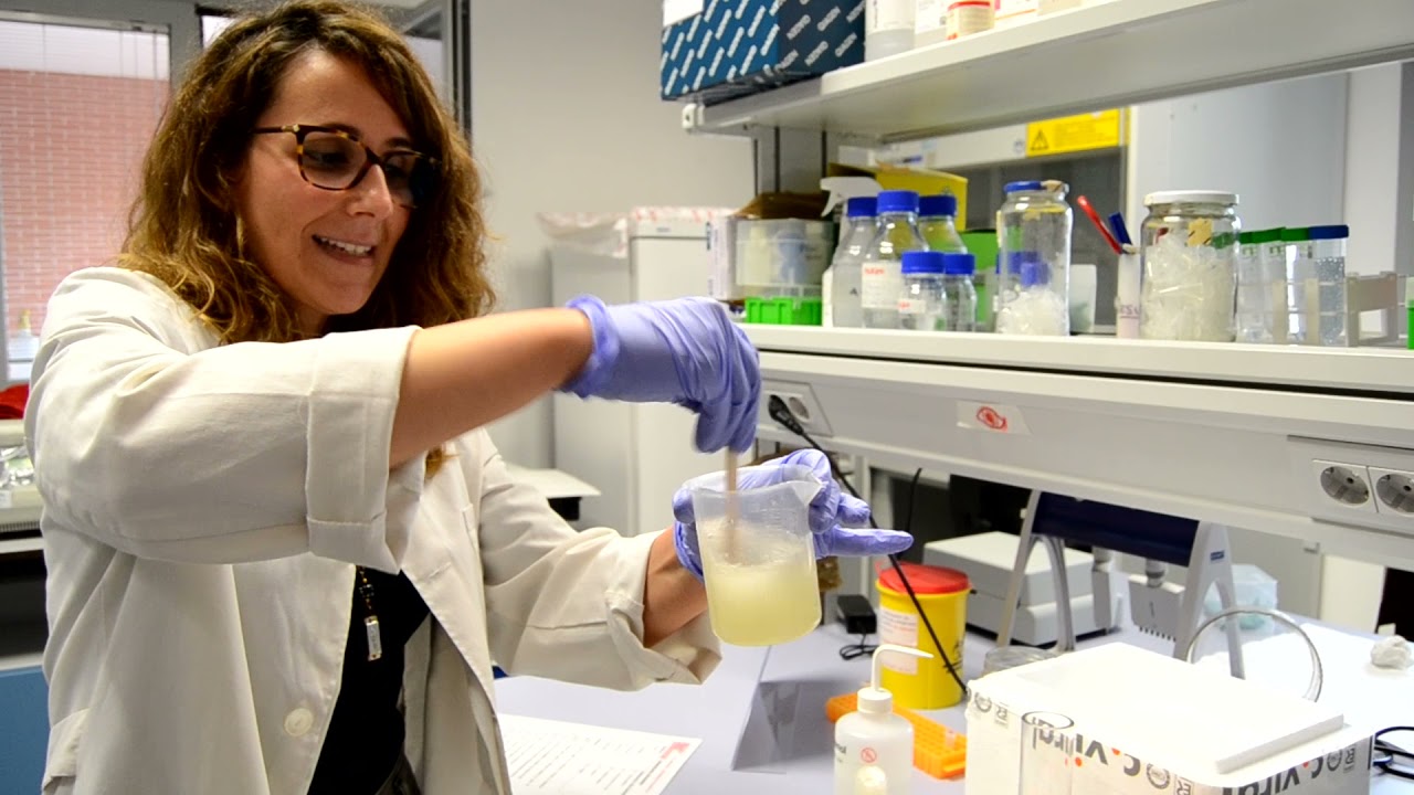 Taller: Extraer el ADN al plátano