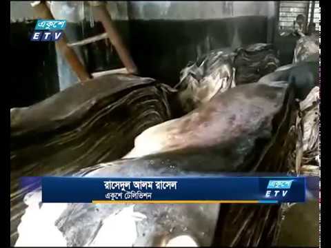 অর্থ সংকটে নাটোরের চামড়া ব্যবসায়ীরা