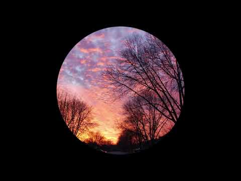 DJ ÆDIDIAS - flexin on my x