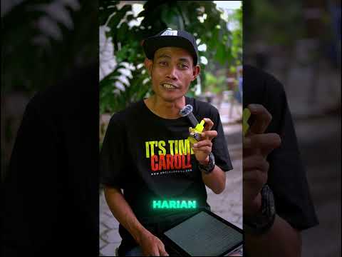 VITAMIN TONCA.boster tonic kenari.