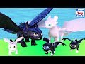 New Playmobil Dragons How to Train Your Dragon 3 Playsets   Fun Toys For Kids