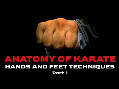 ANATOMY OF KARATE HANDS AND FEET TECHNIQUES PART - I   |  KYOKUSHIN VLOG-29