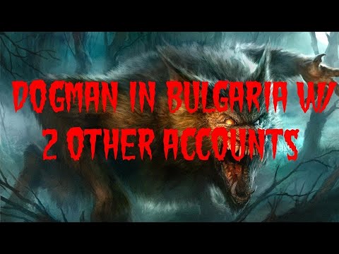 DOGMAN IN BULGARIA W/ 2 OTHER ACCOUNTS