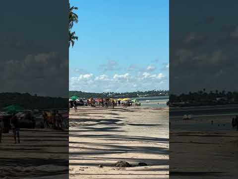 Praia dos Carneiros - Tamandaré, PE