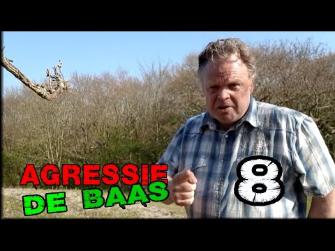 Agressie de baas afl. 8 - frustratie of grensoverschrijdende agressie