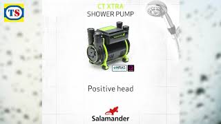 Salamander