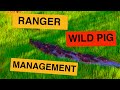 APN Indigenous Ranger Wild Pig Management
