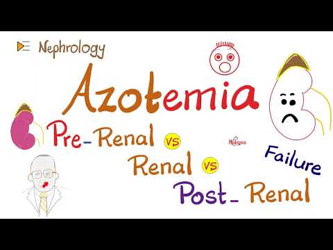Azotemia -  Pre-renal vs Intra-renal vs Post-Renal Azotemia - AKI - ARF - Kidney Pathology