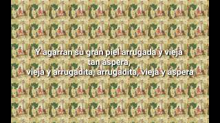 Animal Collective - Did You See The Words | Sub Español