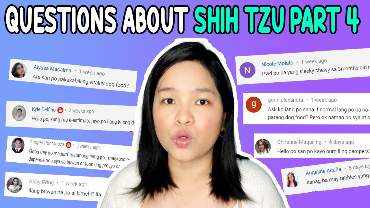 Putar video GAANO KATAGAL ANG VALIDITY NG ANTI RABIES VACCINE | SHIH TZU CARING TIPS | PAANO MAG ALAGA NG SHIH T sekarang GAANO KATAGAL ANG VALIDITY NG ANTI RABIES VACCINE | SHIH TZU CARING TIPS | PAANO MAG ALAGA NG SHIH T