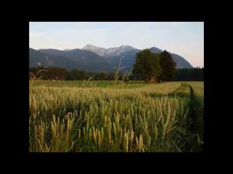 Grassau im Chiemgau - Kurz mal reingeschaut...(1)