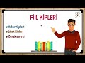 7. Sınıf  Türkçe Dersi  Etkili dinleme/izleme alışkanlığı kazanma Haber Kipleri ve Dilek Kipleri konularını eğlenceli bir şekilde öğrenebileceğiniz, örnek soru çözümleri içeren harika bir video. 7. konu anlatım videosunu izle