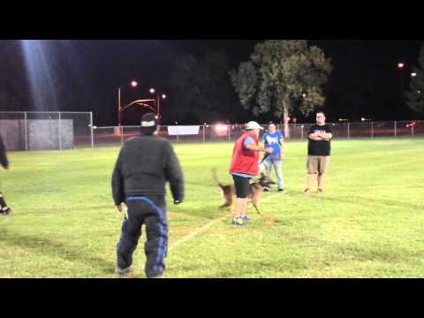 Irondog IDP1 Defense of Handler Cane