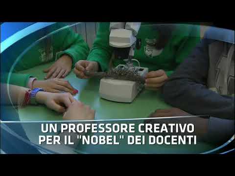 TITOLi TG1 20 02 2019 - MerdoleDì