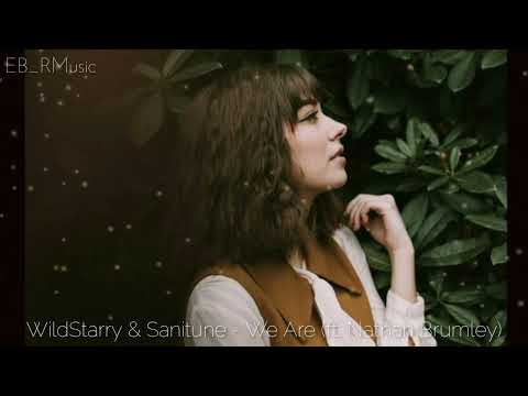 WildStarry & Sanitune - We Are (ft. Nathan Brumley)