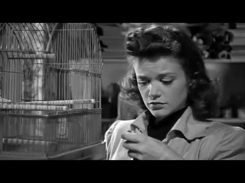 🚩 Remembering SIMONE SIMON