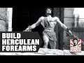 How to Build Herculean Forearms Like Steve Reeves | Old School History