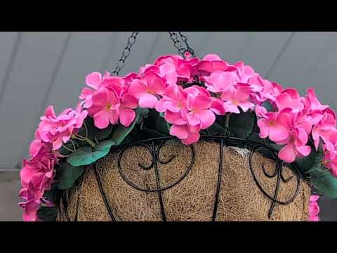 Hanging Flower Pot Has a Yellow Jackets Nest in It in Port Reading, NJ