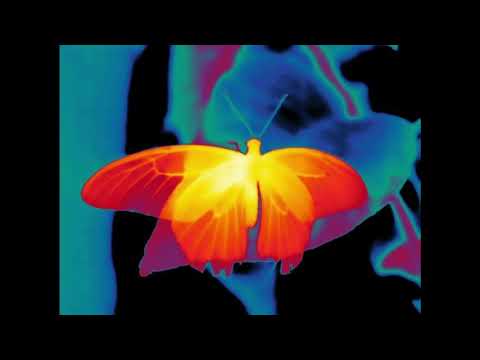 [FREE] bladee, drain gang, yung lean, whitearmor type beat - med (prod.yungrevrbgod)