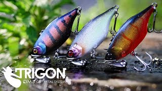 バス釣りTNトリゴンハイスピード戦略/ジャッカル柴田洋生