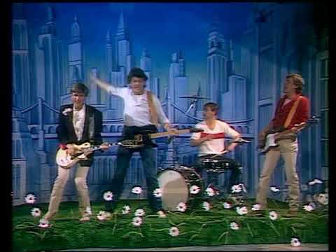 UNITED BALLS  - Gänseblümchen