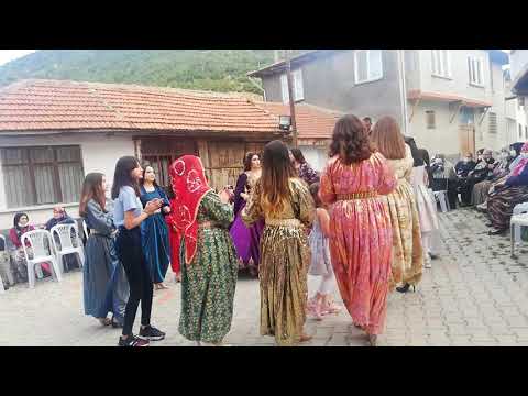 Müzisyen Özlem Ökten AKŞEHİR düğünleri Bermende savaş köyü mahallesinden Rümeysa & Emre çiftinin