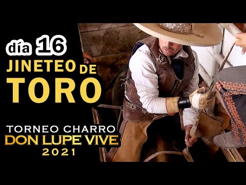 BULL RIDING day 16 - Don Lupe Vive Tournament 2021