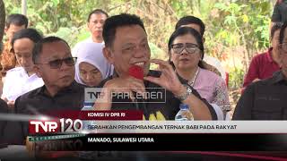 Komisi IV DPR RI - Serahkan Pengembangan Ternak Babi Pada Rakyat - TVR 120