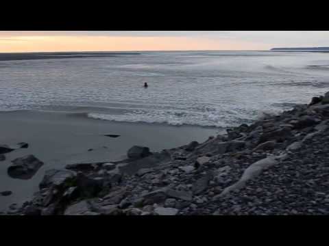 Marée montante sur le Mont Saint-Michel selon l'expression " à la vitesse d'un cheval au galop"