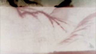 Deerhunter - VHS Dream