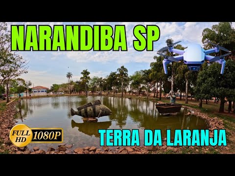 NARANDIBA SP - TERRA DA LARANJA