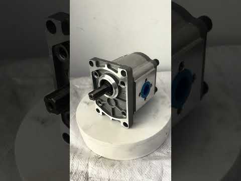 2026 Qingdao Promising Hydraulic Gear Pump CBT-F316 20MPA 16L for Wheel Loader Spare Parts-cover-image