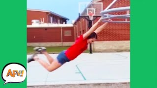 faze tari faze tari - selectii