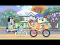 A Weekend With Bob Bluey Disney Kids