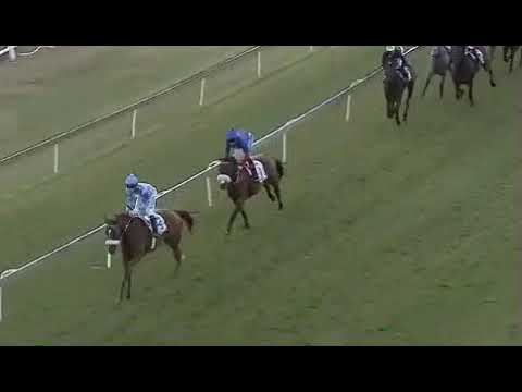 Return Flight - 2019 SA Oaks