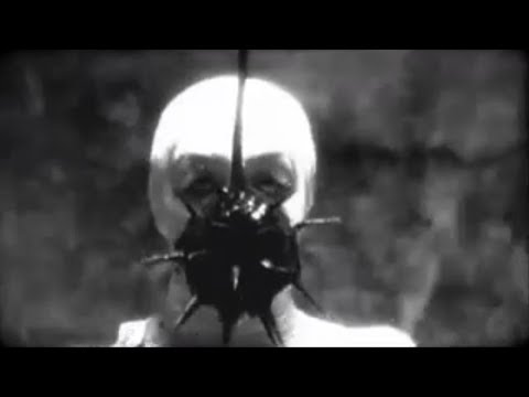 88b. - Despot [MNKZT007]