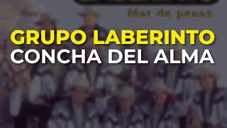 Grupo Laberinto - Concha del Alma (Audio Oficial)