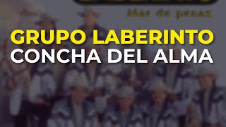 Grupo Laberinto - Concha del Alma (Audio Oficial)