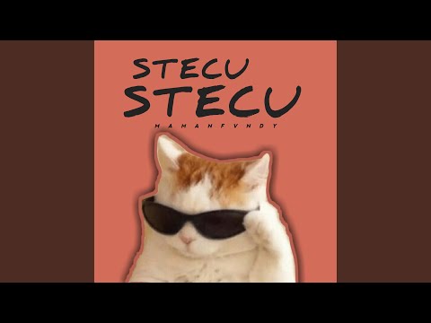 Stecu Stecu