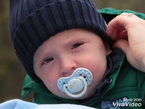 Koníci z Ryzáčka pomáhají dětem - nyní potřebují pomoc oni