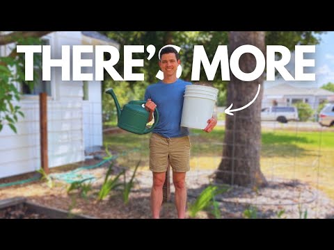 3 INSTANT Upgrades for JADAM Microbial Solution (JMS) — FULL BREAKDOWN