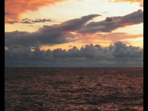 markus engel engelsstaub