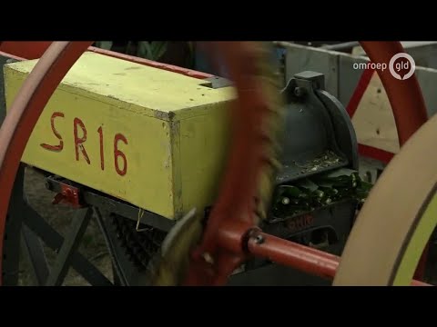 GLD Nieuws 11 augustus 2019 - Zondag 11 augustus