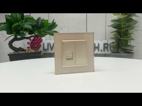 Розетка интернет RJ-45 кат. 6 Livolo, цвет шампань (механизм) BB-C7-1C-16