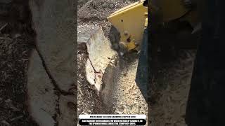 Stump Grinder Carbide Wheel Grinds Hardwood To Chips