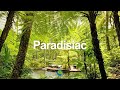 Shazz - Lounging Around